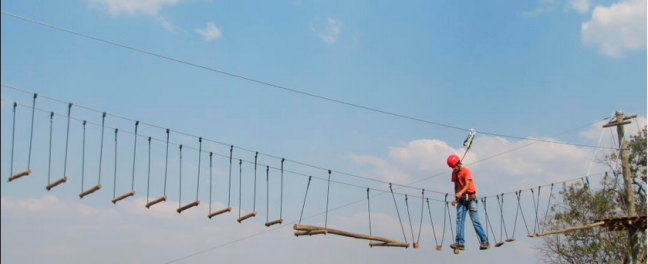 Pratique Arvorismo Arborismo