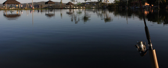 Galeria de Fotos Pescaesportiva